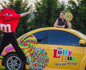 The Lolly Bug - Local Tourism 0