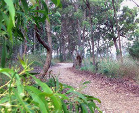 Mount Mutton Walking Trail - Accommodation Australia 0