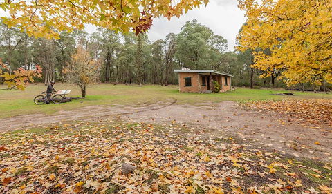 Major Clews Hut Walking Track - Local Tourism 2