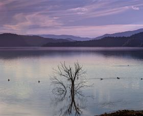 Scone NSW Accommodation Australia