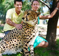 National Zoo  Aquarium - Accommodation Australia