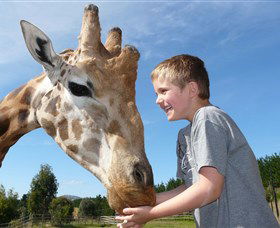 National Zoo & Aquarium - Accommodation Australia 3