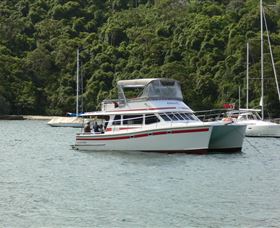 Waratah Adventure Tours - Accommodation Australia 1