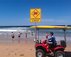 Waratah Adventure Tours - Accommodation Australia 2