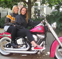 Wild Ride Harley and Motorcycle Tours - Local Tourism