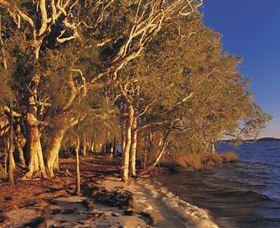 East Coast Adventure Bus - Accommodation Australia 2