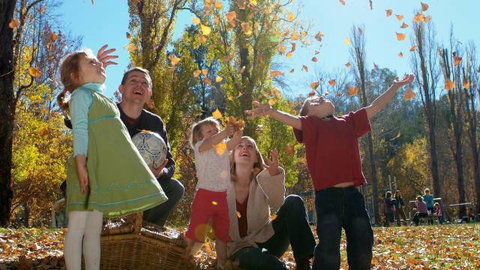 Cotter Avenue Recreation Area - Local Tourism 3