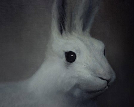 Gallery 9 - Bed n Breakfasts 2