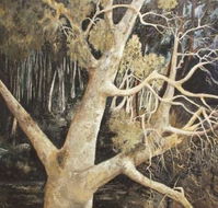Ku-Ring-Gai Art Centre  Gallery - Accommodation Australia