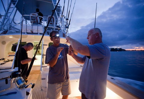 Amokura Charters - Accommodation Australia 1
