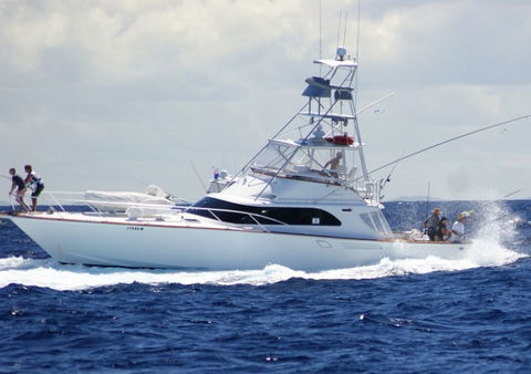 Amokura Charters - Accommodation Australia 2