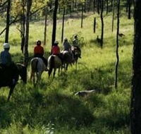 Hunter Valley Horse Riding and Adventures - Accommodation Australia
