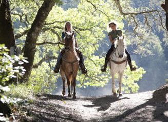 Hunter Valley Horse Riding And Adventures - Local Tourism 1