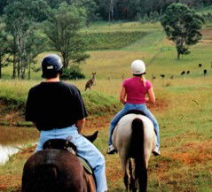 Hunter Valley Horse Riding And Adventures - Local Tourism 3
