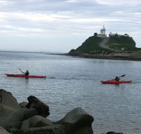 Newcastle Kayak Tours - Local Tourism