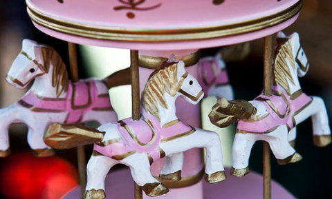 Newcastle City Farmers Markets - Local Tourism 0