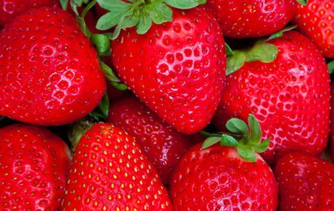 Newcastle City Farmers Markets - Local Tourism 2