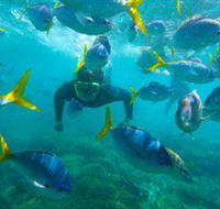 G Adventures - Local Tourism