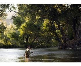 Fly Fishing Tumut - Accommodation Australia 1