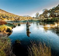 Fly Fishing Tumut - Accommodation Australia