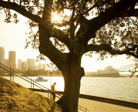 Royal Botanic Gardens And The Domain - Local Tourism 0