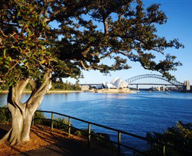 Royal Botanic Gardens And The Domain - Local Tourism 3