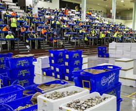 Sydney Fish Market - Accommodation Australia 0