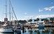 Sydney Fish Market - thumb 2