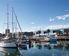 Sydney Fish Market - Accommodation Australia 2