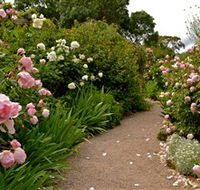Ross Garden Tours - Local Tourism
