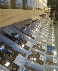 The Source Bulk Foods - Accommodation Australia 2