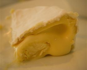 The Cheesemaking Workshop Sydney - Australia Shopping 4