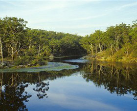 Lake Parramatta Reserve - Local Tourism 0