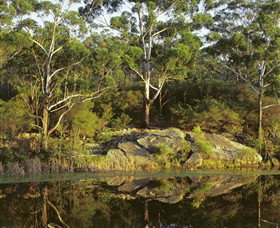 Lake Parramatta Reserve - Local Tourism 1