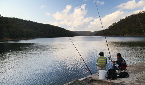 D'Albora Marinas At Akuna Bay - Local Tourism 3