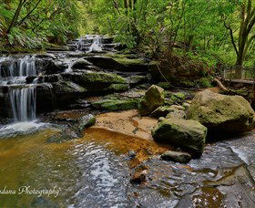 Australian Sightseeing And Photography Tours - Accommodation Australia 1