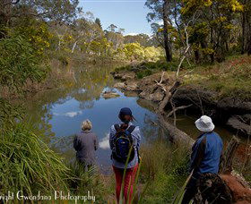 Australian Sightseeing And Photography Tours - Accommodation Australia 5