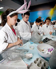 Australian Nuclear Science And Technology Organisation - Local Tourism 1
