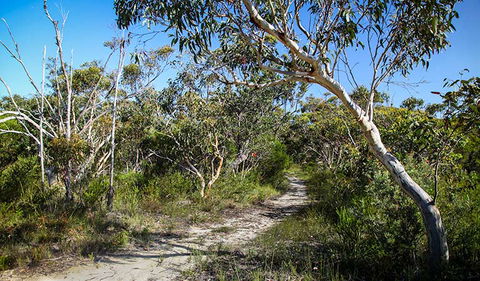 Aboriginal Heritage Walk - Accommodation Australia 2