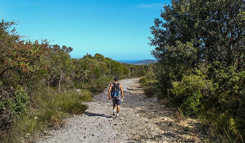 Aboriginal Heritage Walk - Accommodation Australia 3