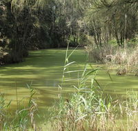 Second Ponds Creek walk - Local Tourism