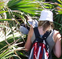 Palm Jungle loop track - Local Tourism