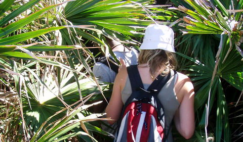 Palm Jungle Loop Track - Accommodation Australia 0