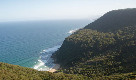 Palm Jungle Loop Track - Accommodation Australia 1