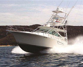 1300 Big Fish - Accommodation Australia 0