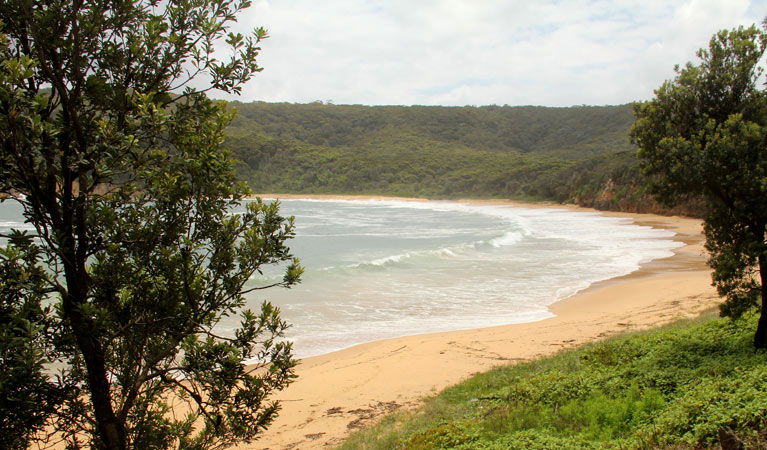 Picketts Valley NSW Local Tourism