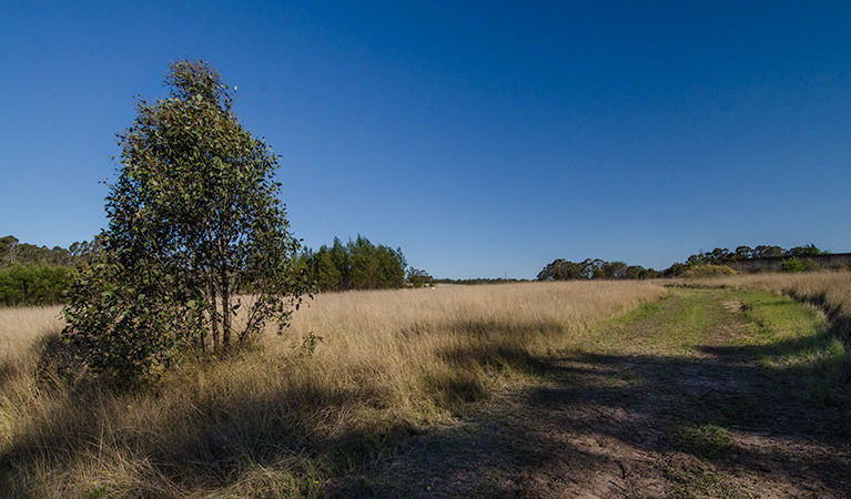 Oakville NSW Accommodation Australia