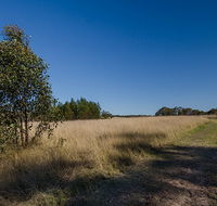 Scheyville horse riding trails - Accommodation Australia
