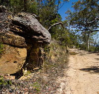 Canoelands Ridge walking track - Accommodation Australia