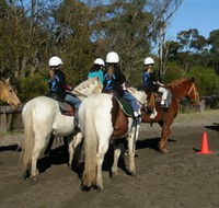 Darkes Forest Riding Ranch - Local Tourism